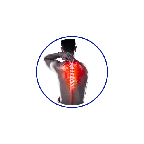 Spine Specialist