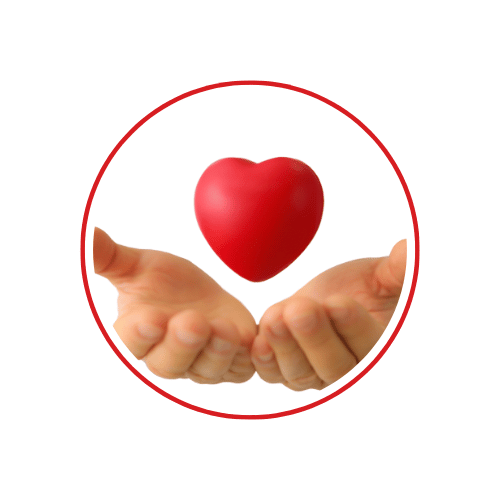 Cardiologist