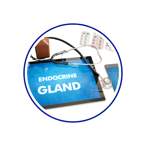 Endocrinologist
