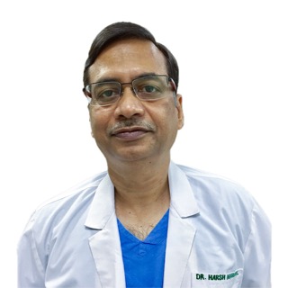 Harsh Agarwal