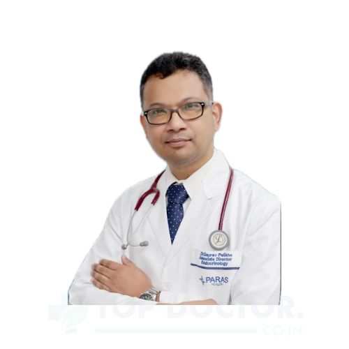 Gaurav Palikhe